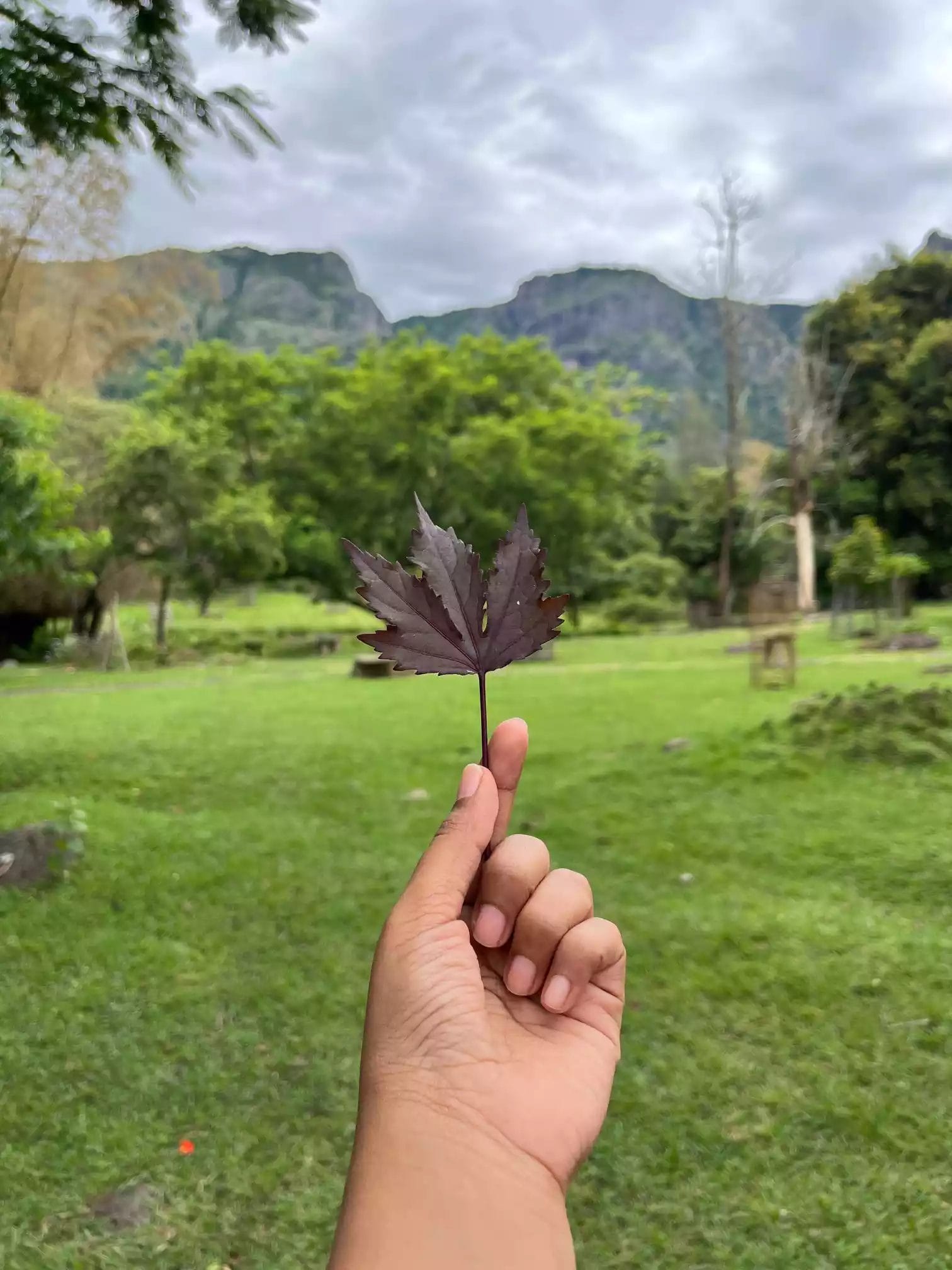 Hari Pengguna Tangan Kiri Sedunia